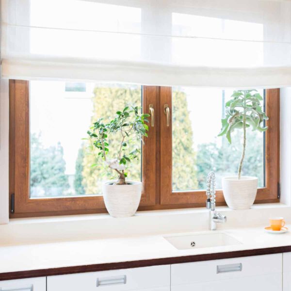 Green Protect Window Fly Trap - Image 3