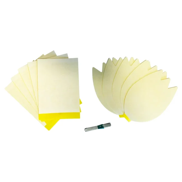 Green Protect Pot Plant Insect Trap - Image 3