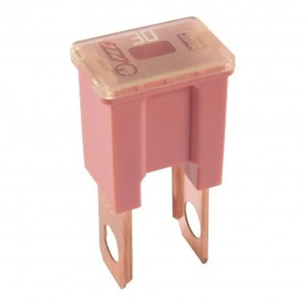Öryggi stofn hann 30A 32V Bleikt Type B