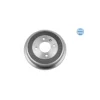 Delphi Bremsuskál aftan VW MDR0016