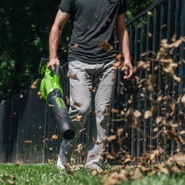 Greenworks 48V laufblásari - Image 6
